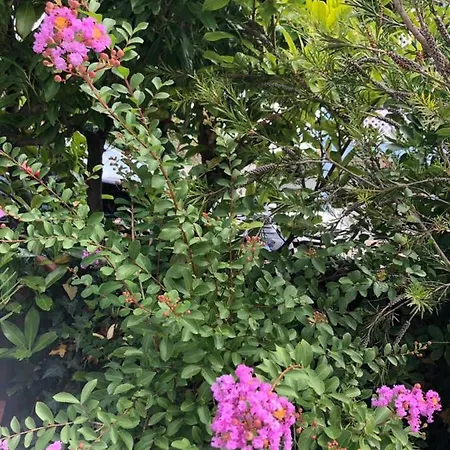 아파트 Flora 풀라