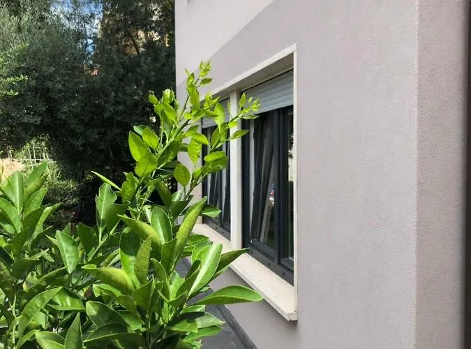 Apartament Flora Pula