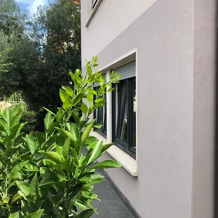 Appartamento Flora Pola